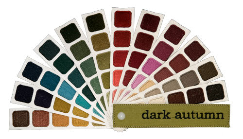 Indigo Tones Dark Autumn Personal Color Swatch Book