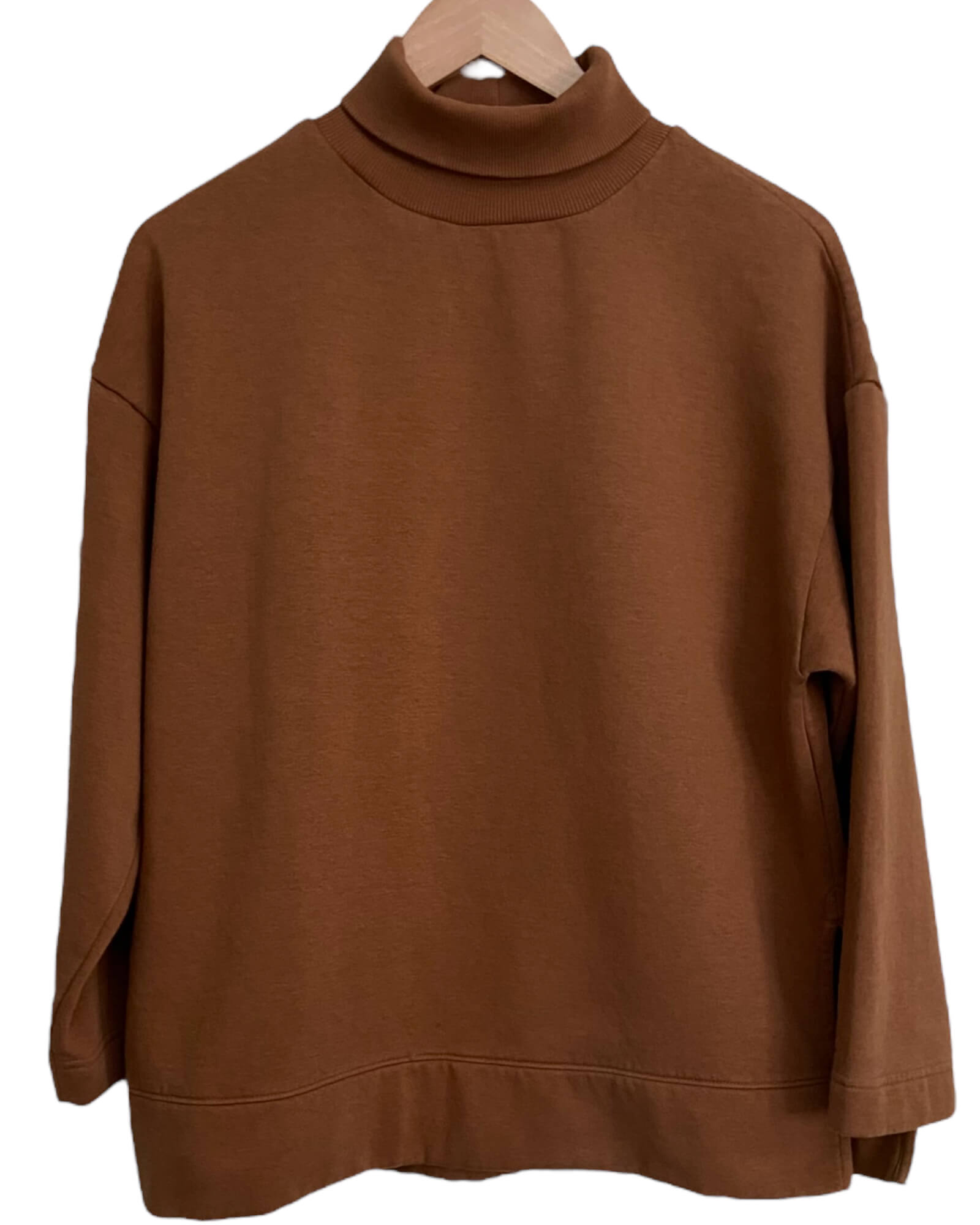Warm Spring LOU & GREY for LOFT pecan brown turtleneck sweatshirt