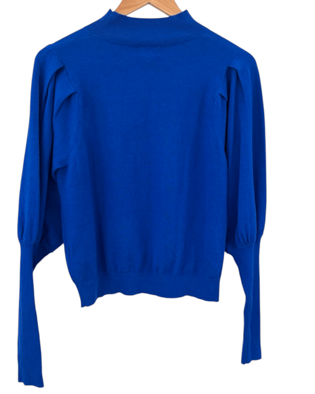 Bright Winter SILVERFLINT lively lapis puff pleat sleeve sweater