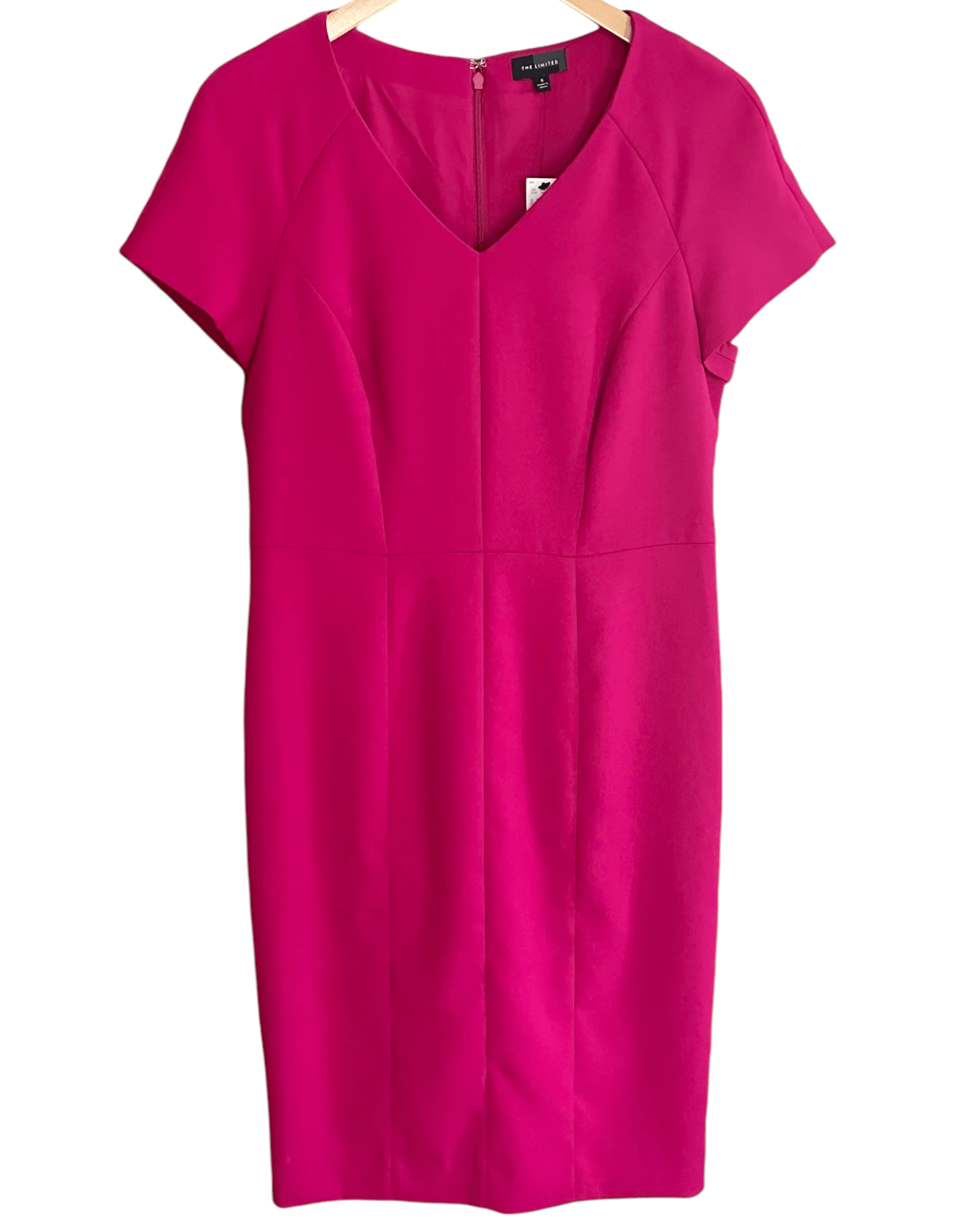 Cool Winter THE LIMITED berry pink cap sleeve sheath dress
