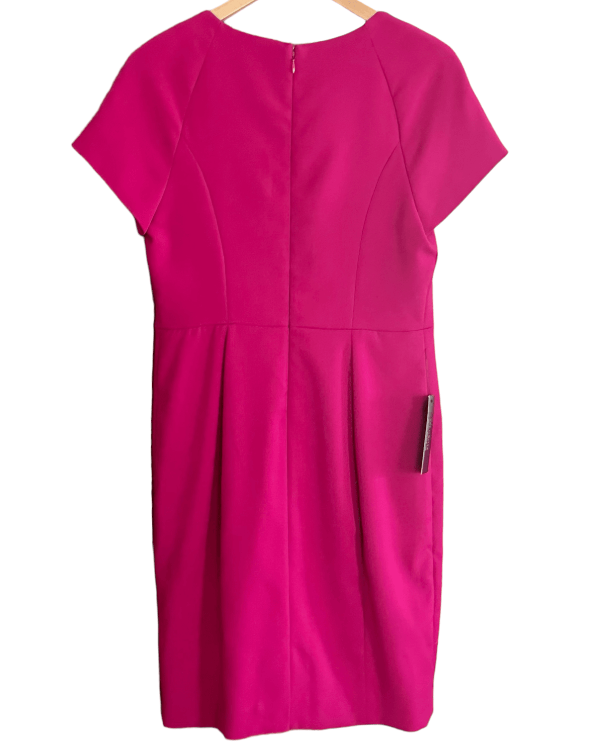 Cool Winter THE LIMITED berry pink cap sleeve sheath dress