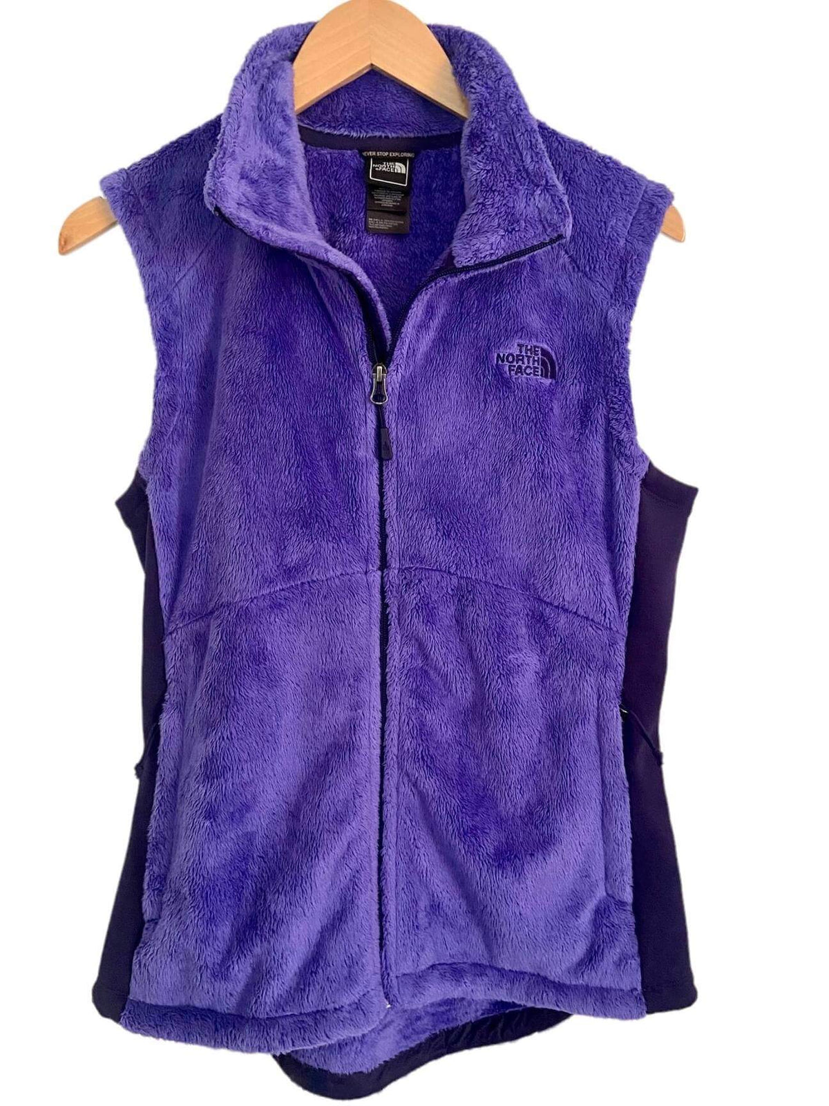 Bright Winter NORTH FACE purple fleece vest