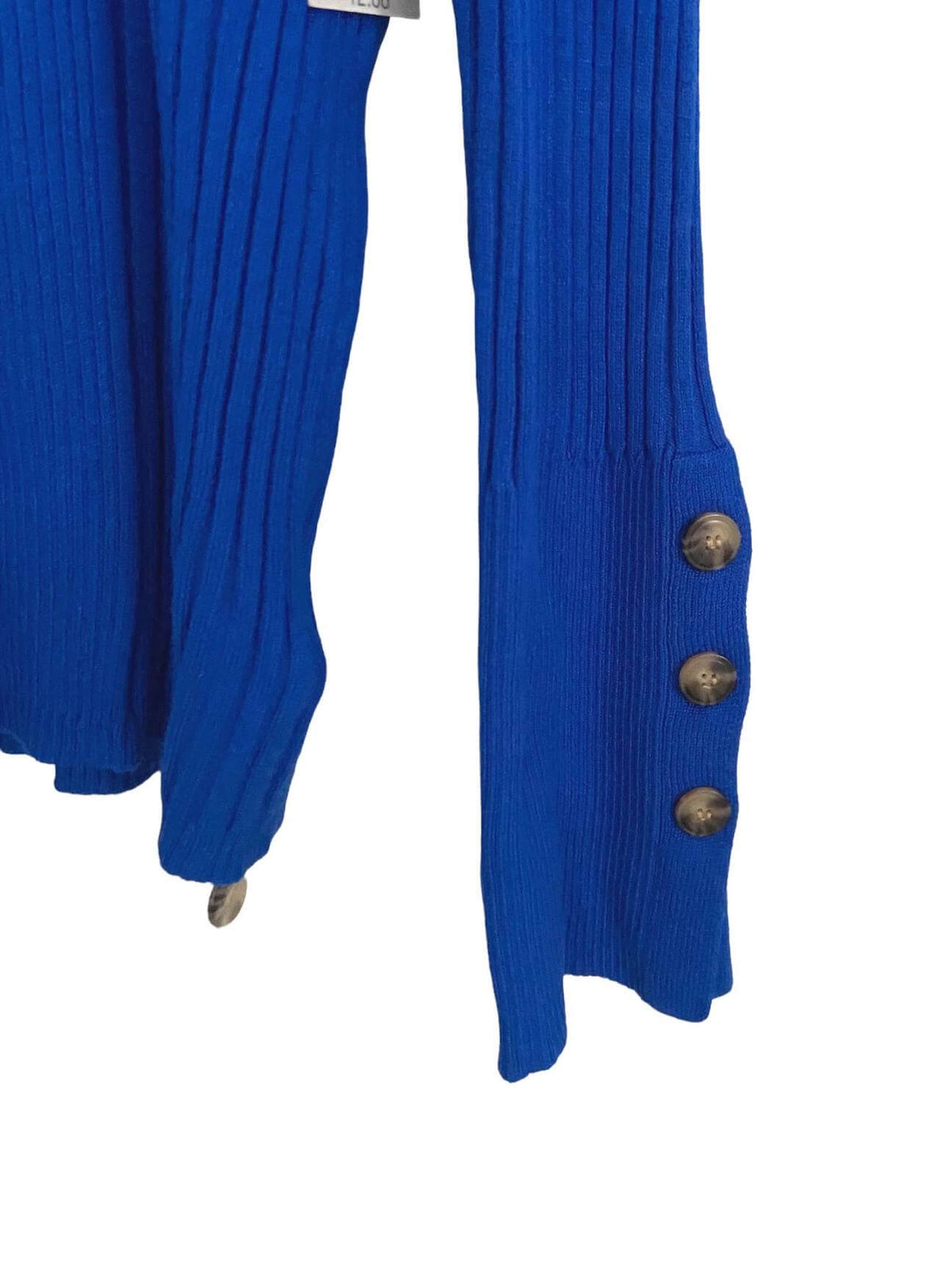 Bright Winter TIME AND TRU blue turtleneck sweater