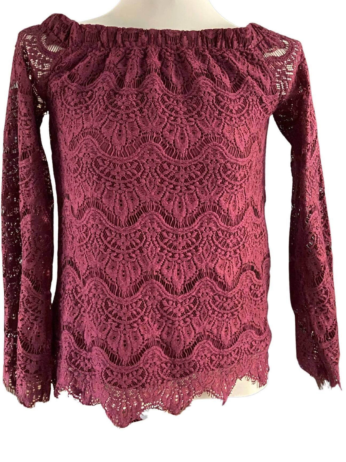 Dark Autumn NO BOUNDARIES wine lace blouse