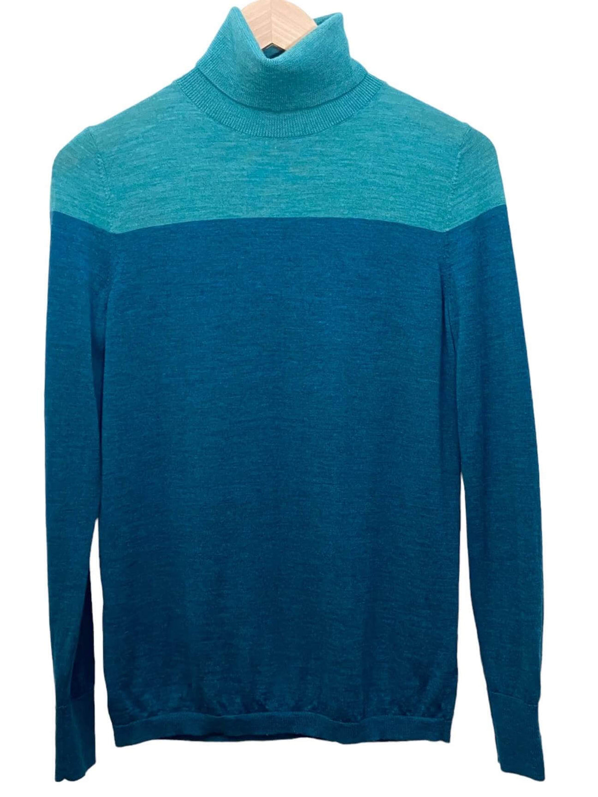 Dark Autumn TALBOTS wool colorblock turtleneck sweater