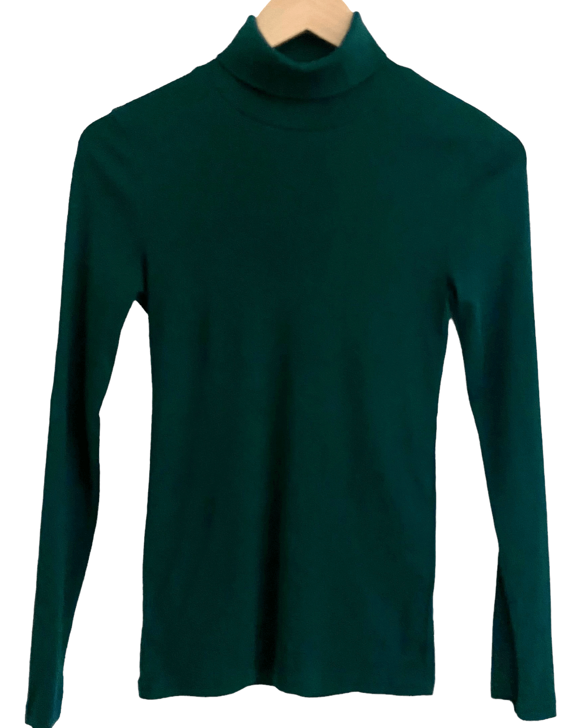 Dark Winter J.CREW alpine green basic turtleneck 