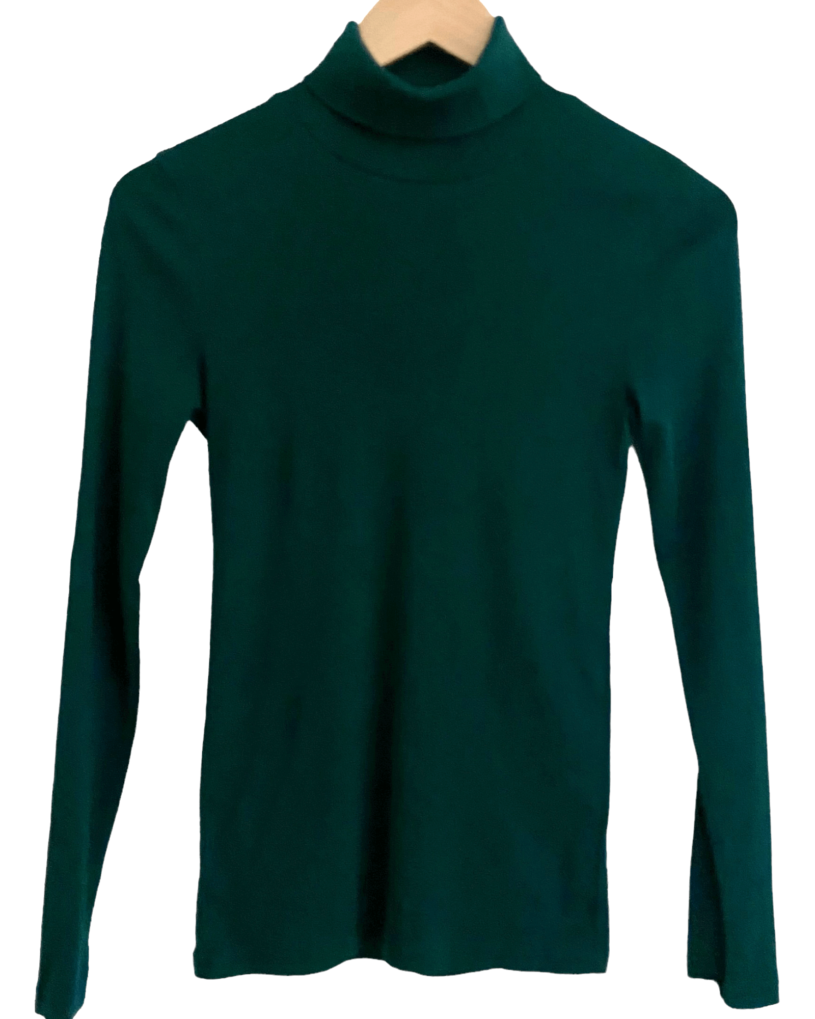 Dark Winter J.CREW alpine green basic turtleneck 