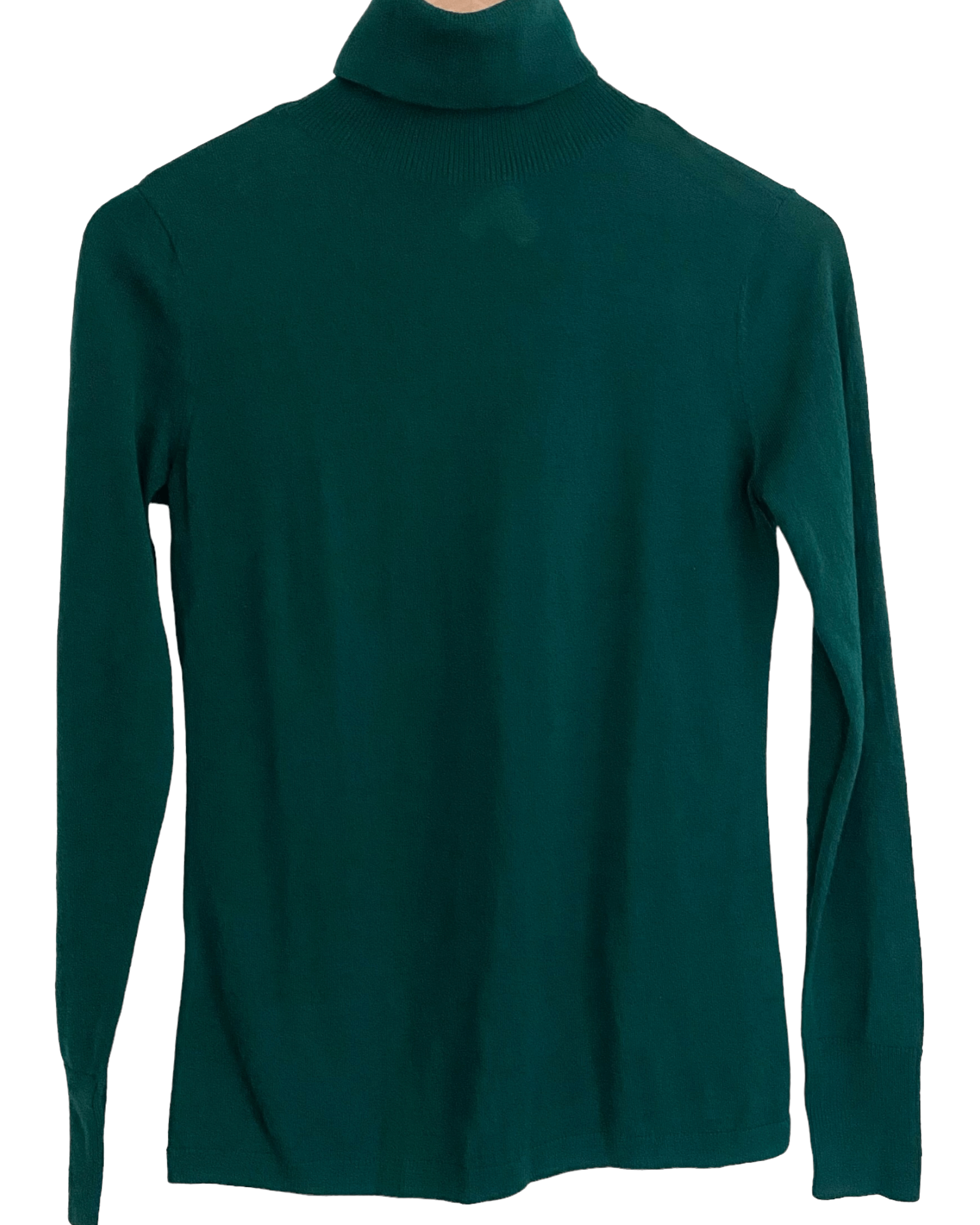 Dark Winter 1901 everglade green wool turtleneck sweater
