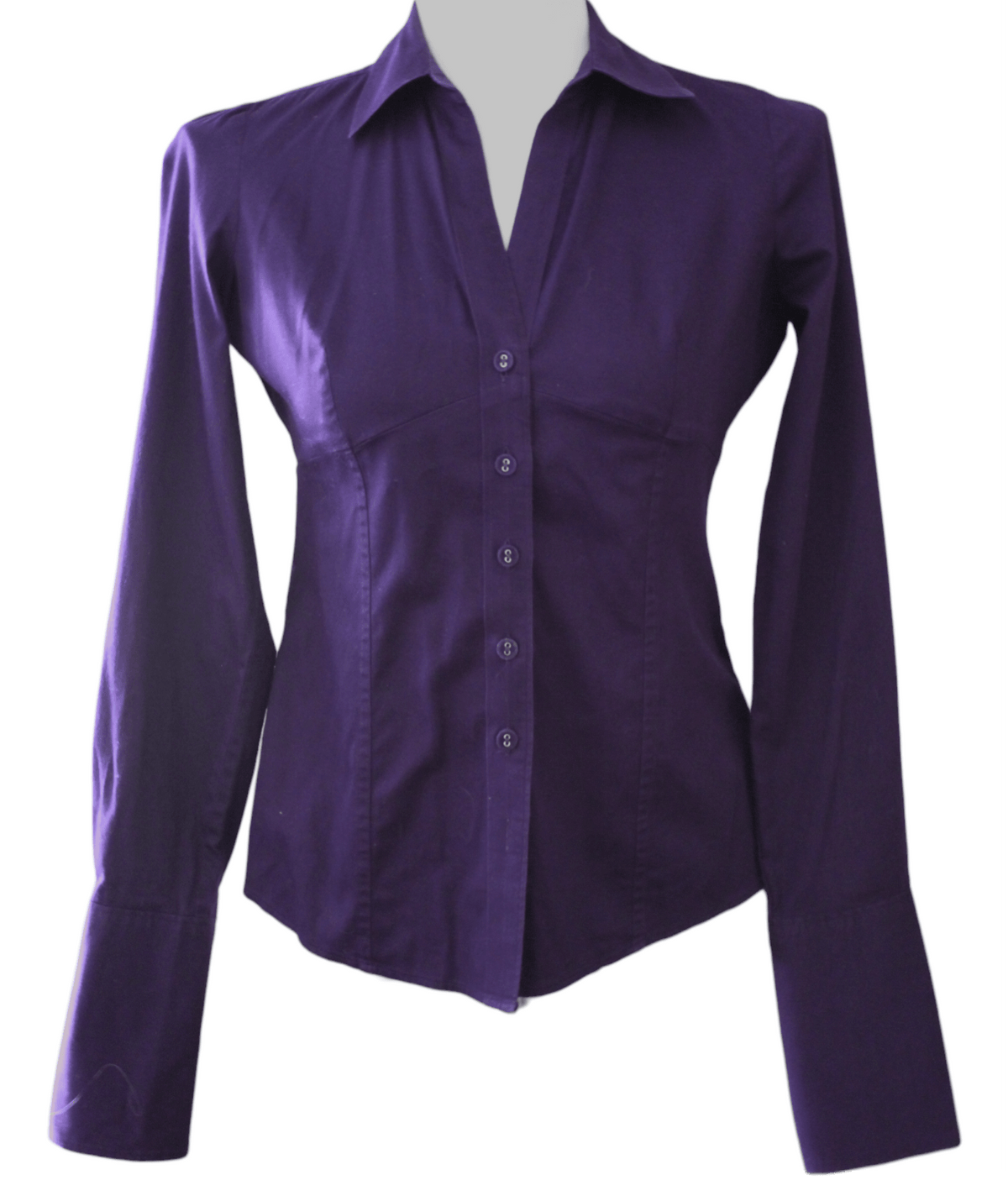 Dark Winter BANANA REPUBLIC plum purple button down shirt