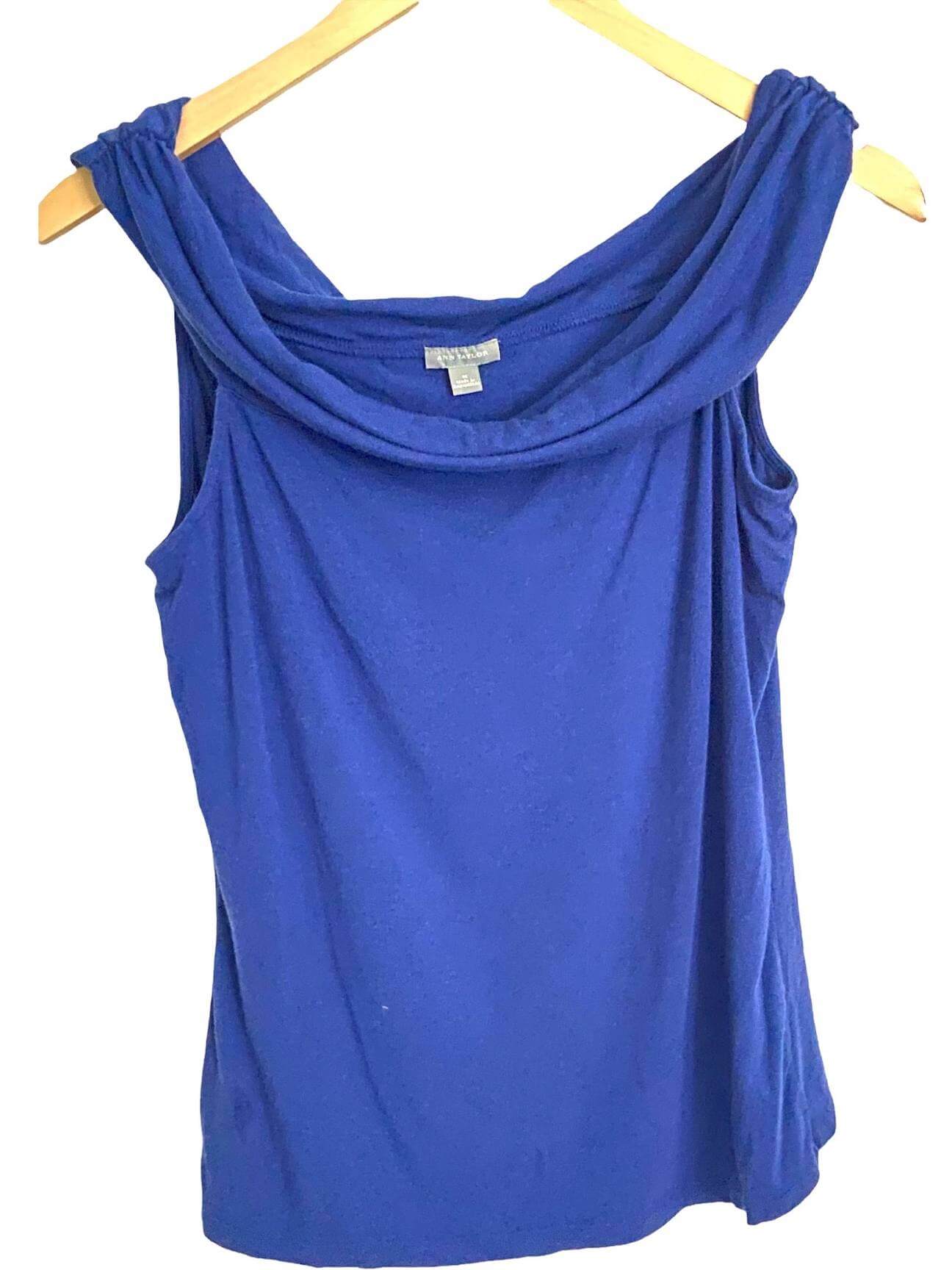 Warm Autumn ANN TAYLOR blue knit top